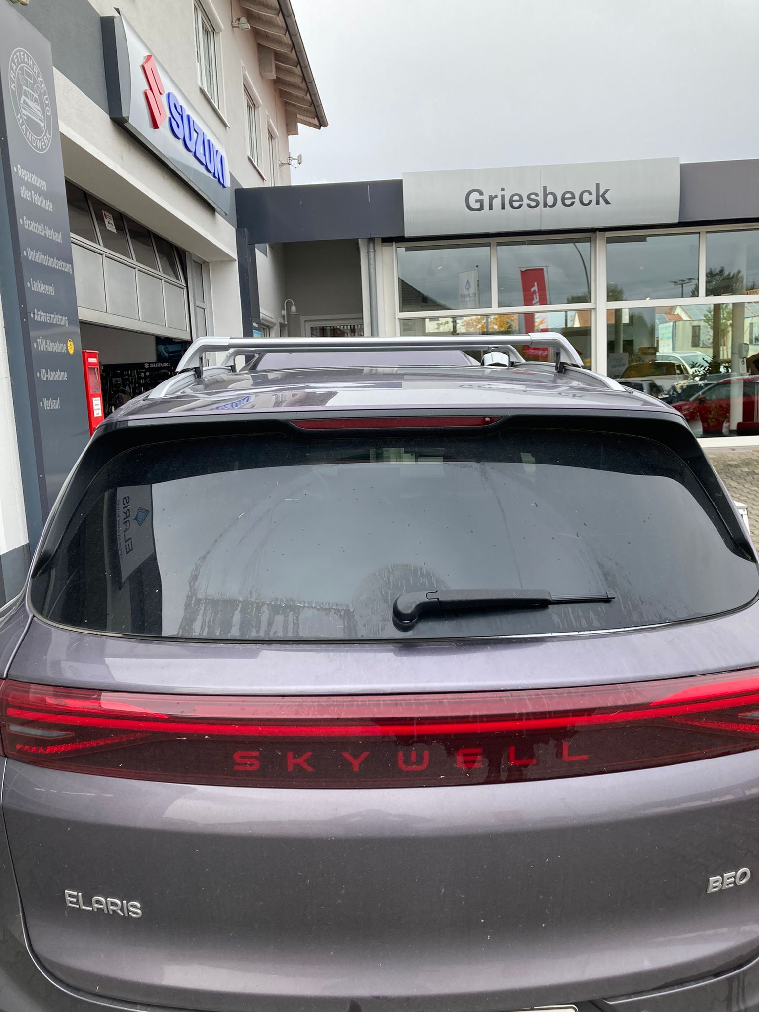 Dachträger für Elaris Beo